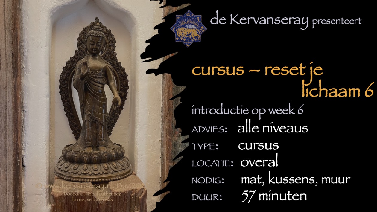 cursus reset je lichaam: week 6