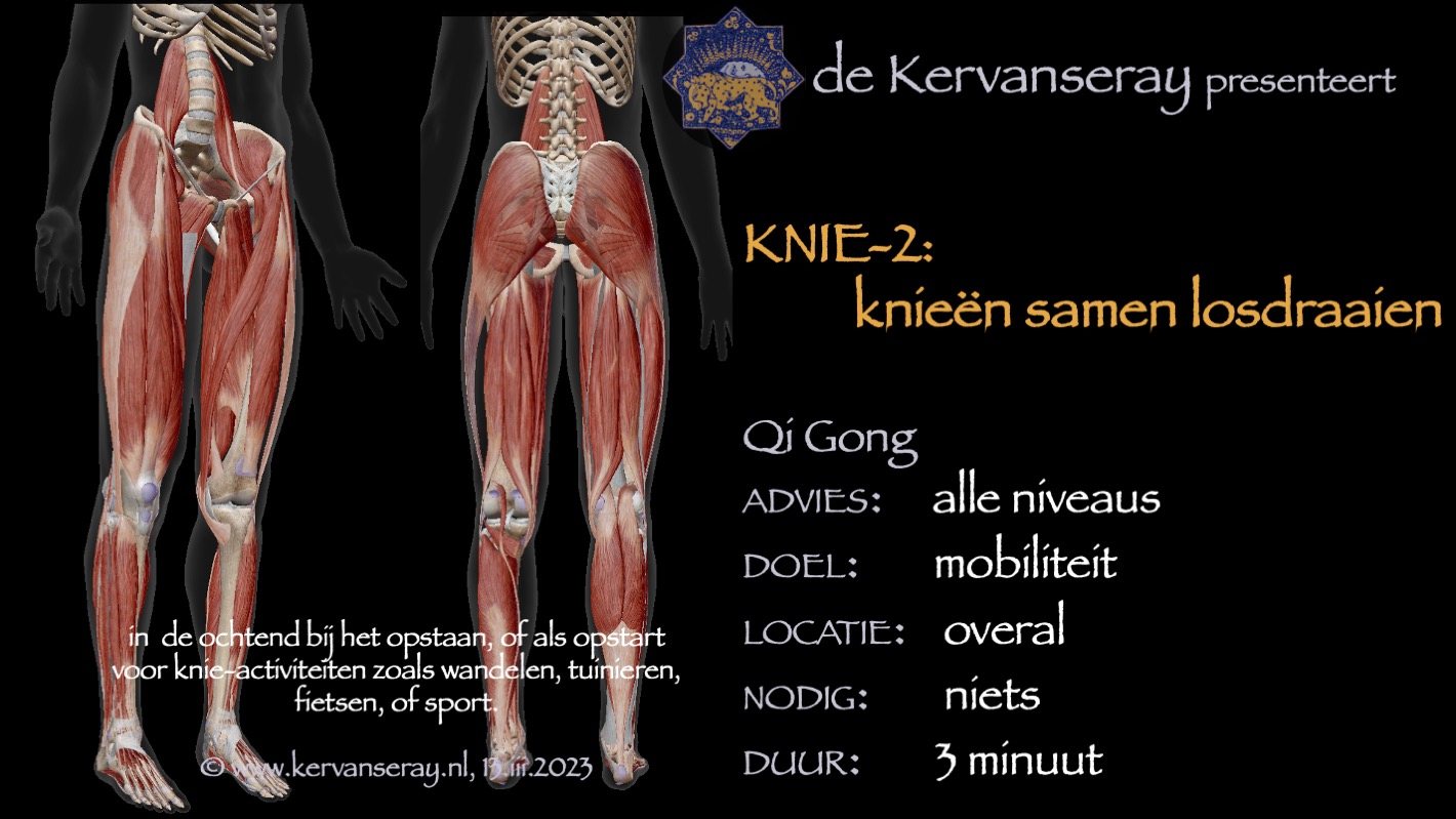 oefening reset losmaken knie: 2 knieën samen losdraaien