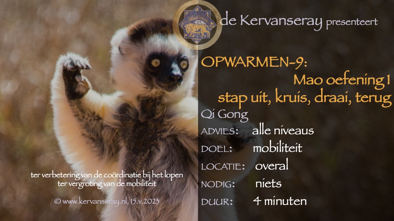 oefening reset opwarmen: 9 Mao oefening 1 - stap uit, kruis, draai, terug