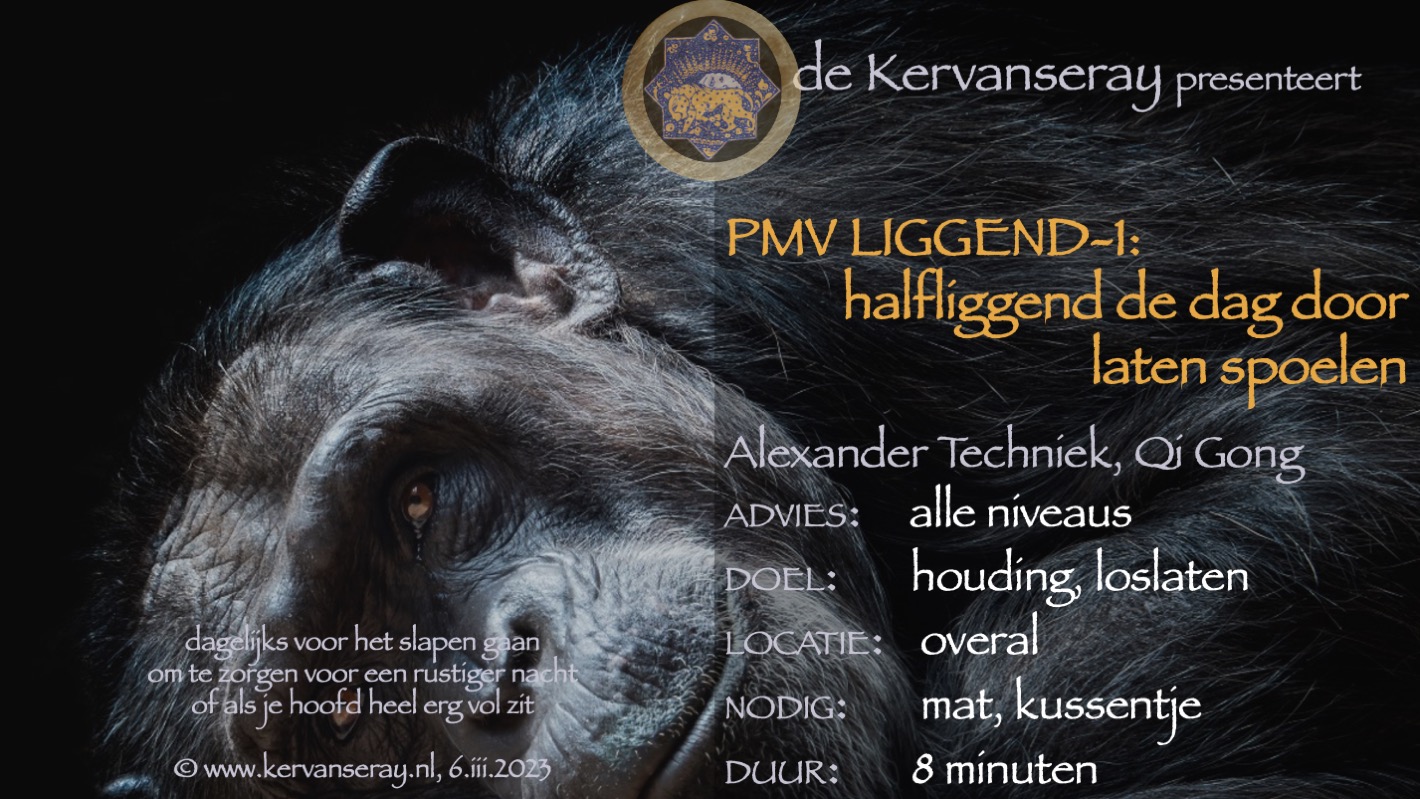 oefening reset PMV liggend: 1 halfliggend de dag door laten spoelen