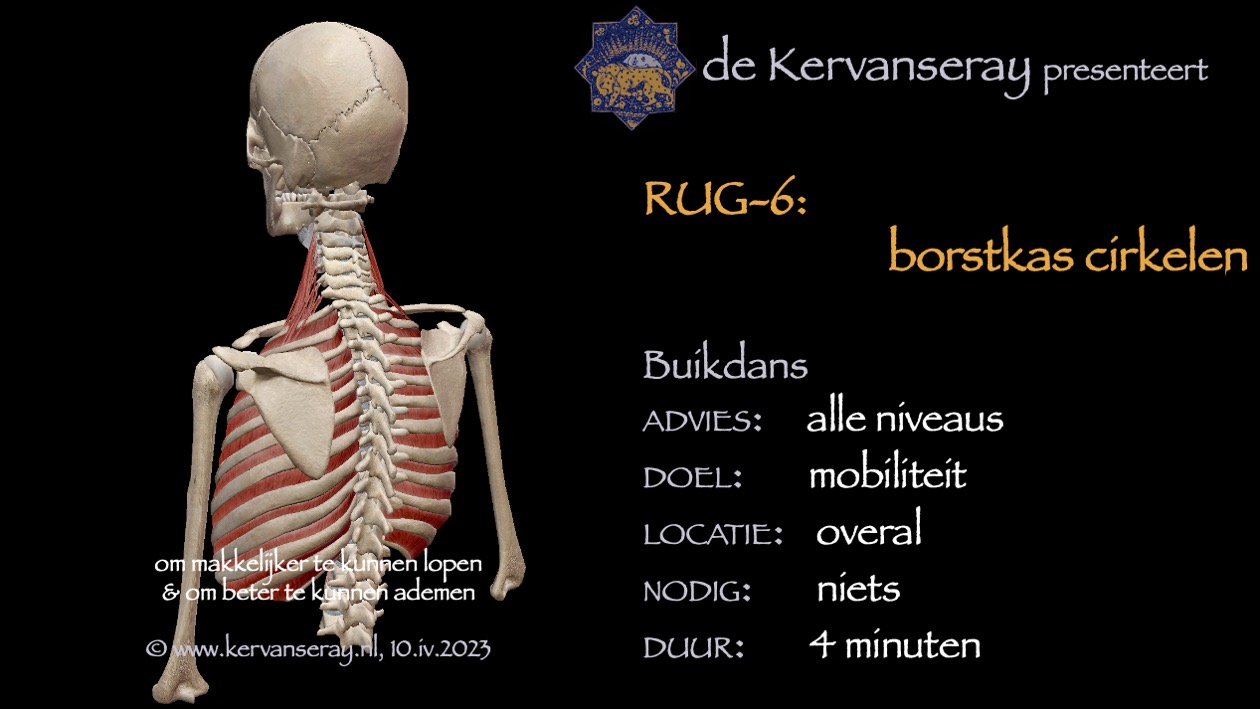 oefening reset losmaken rug: 6 borstkas cirkelen