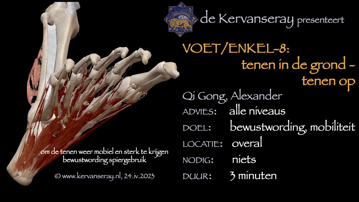 oefening reset losmaken voet & enkel: 8 tenen in de grond duwen, tenen optrekken