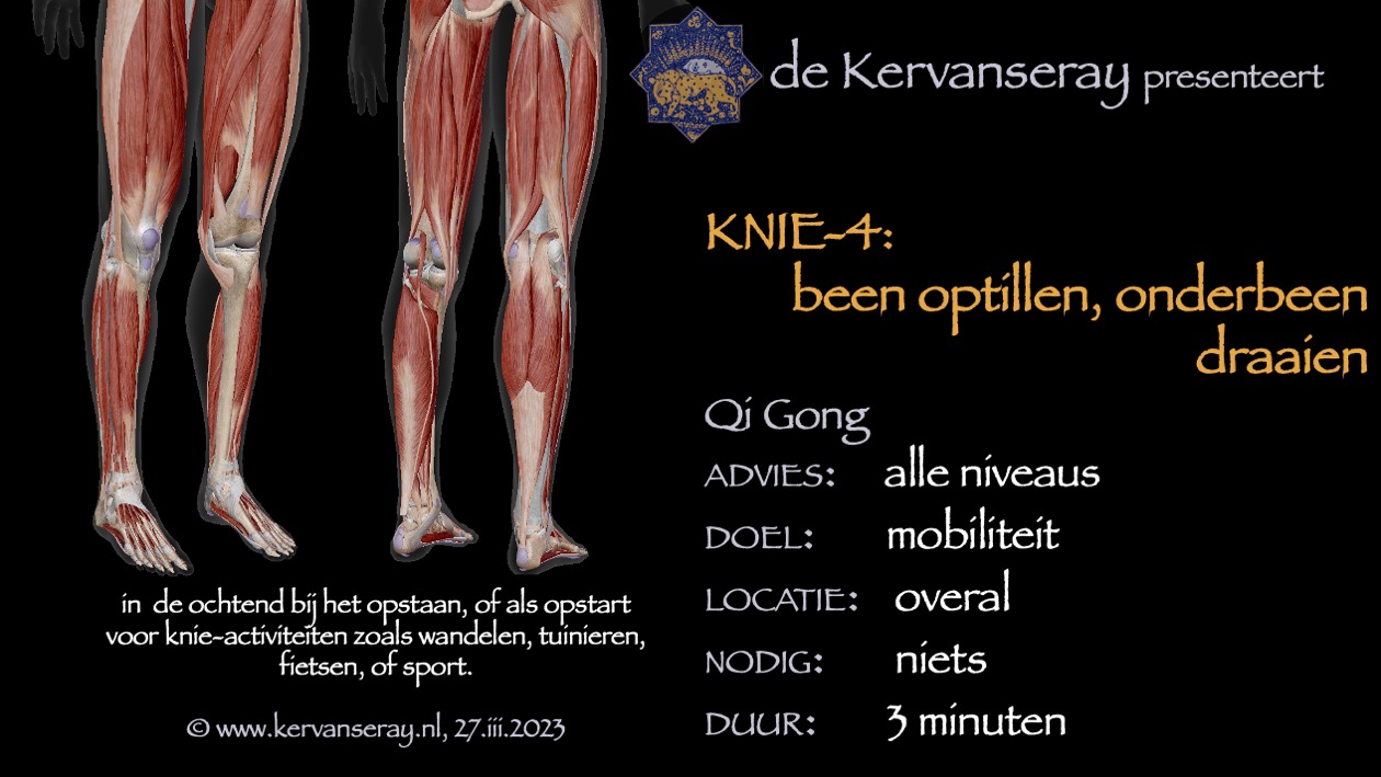 oefening reset losmaken knie: 4 been optillen, onderbeen draaien