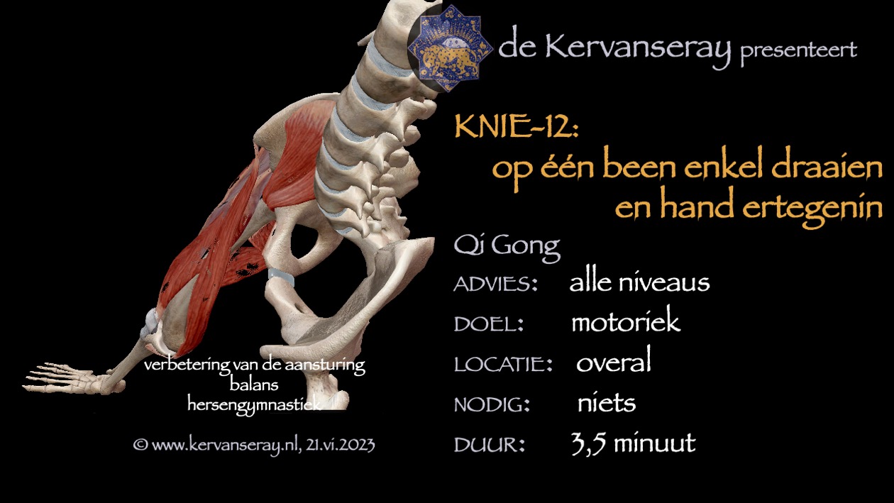 oefening reset losmaken knie: 12 op één been enkel draaien zelfde hand ertegenin