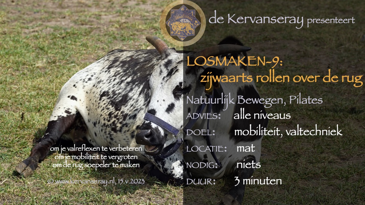 oefening reset losmaken op de mat: 9 zijwaarts rollen over de rug