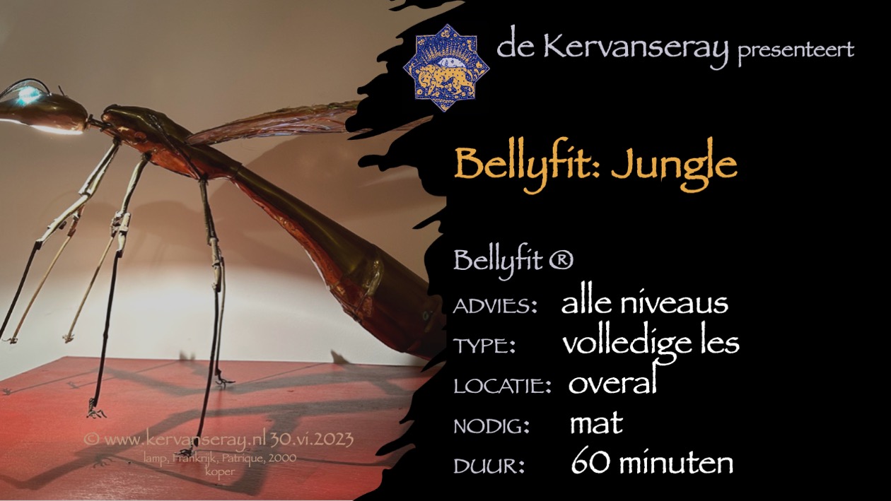les bellyfit: 6 thema work-out 'jungle' 