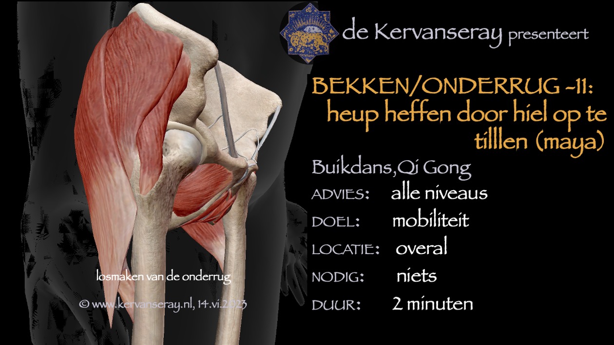 oefening reset losmaken bekken & onderrug: 11 heup heffen door hiel tillen, maya