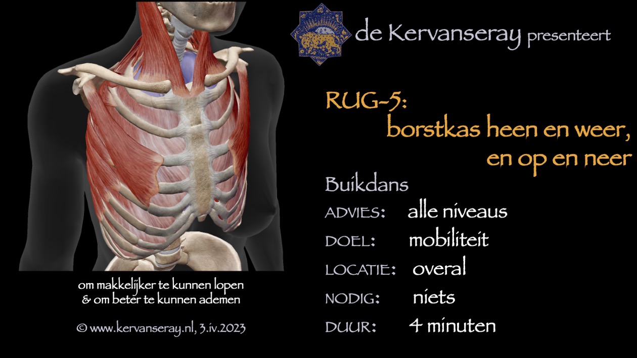 oefening reset losmaken rug: 5 borstkas heen en weer en op en neer