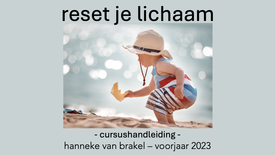 handleiding bij de cursus reset je lichaam