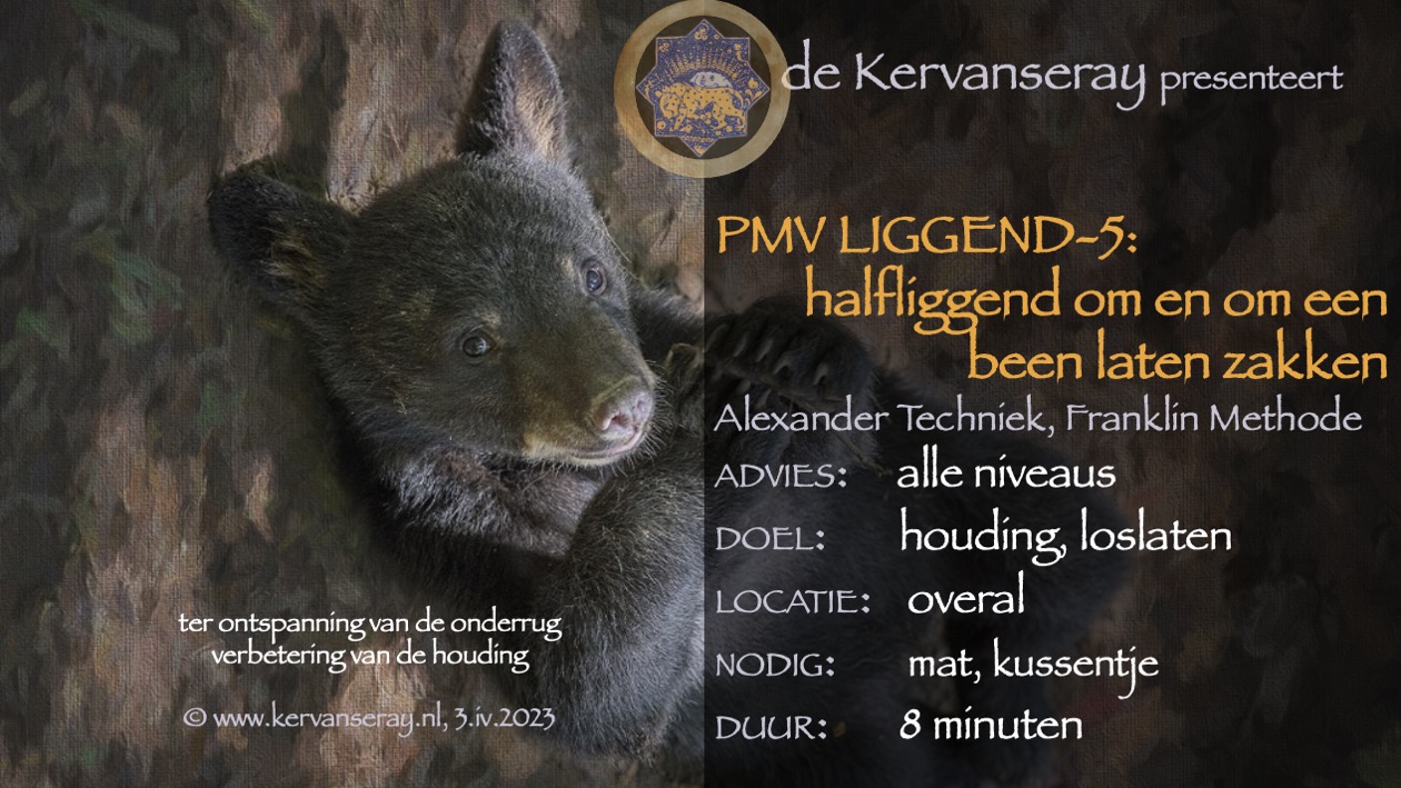 oefening reset PMV liggend: 5 halfliggend om en om een been laten zakken