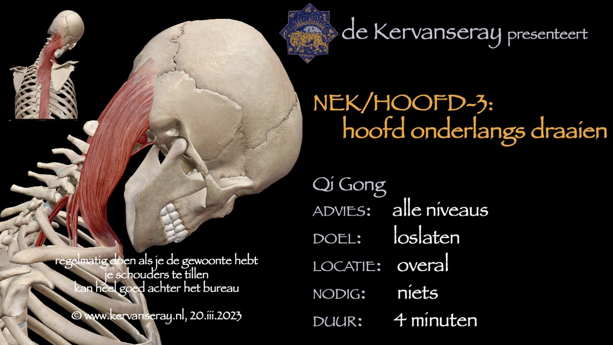 oefening reset losmaken nek & hoofd: 3 hoofd onderlangs draaien