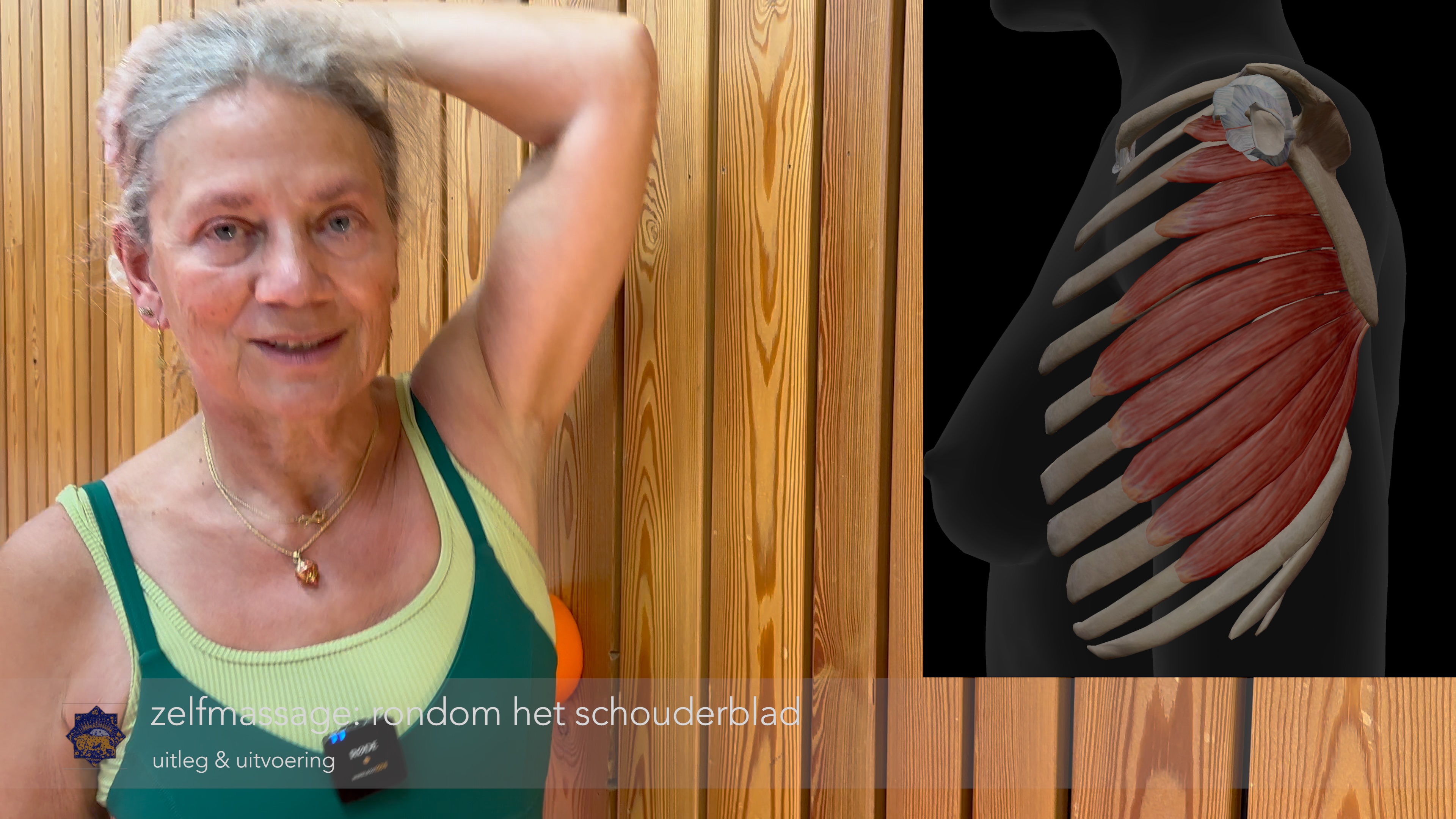 instructie & oefening zelfmassage: rondom het schouderblad