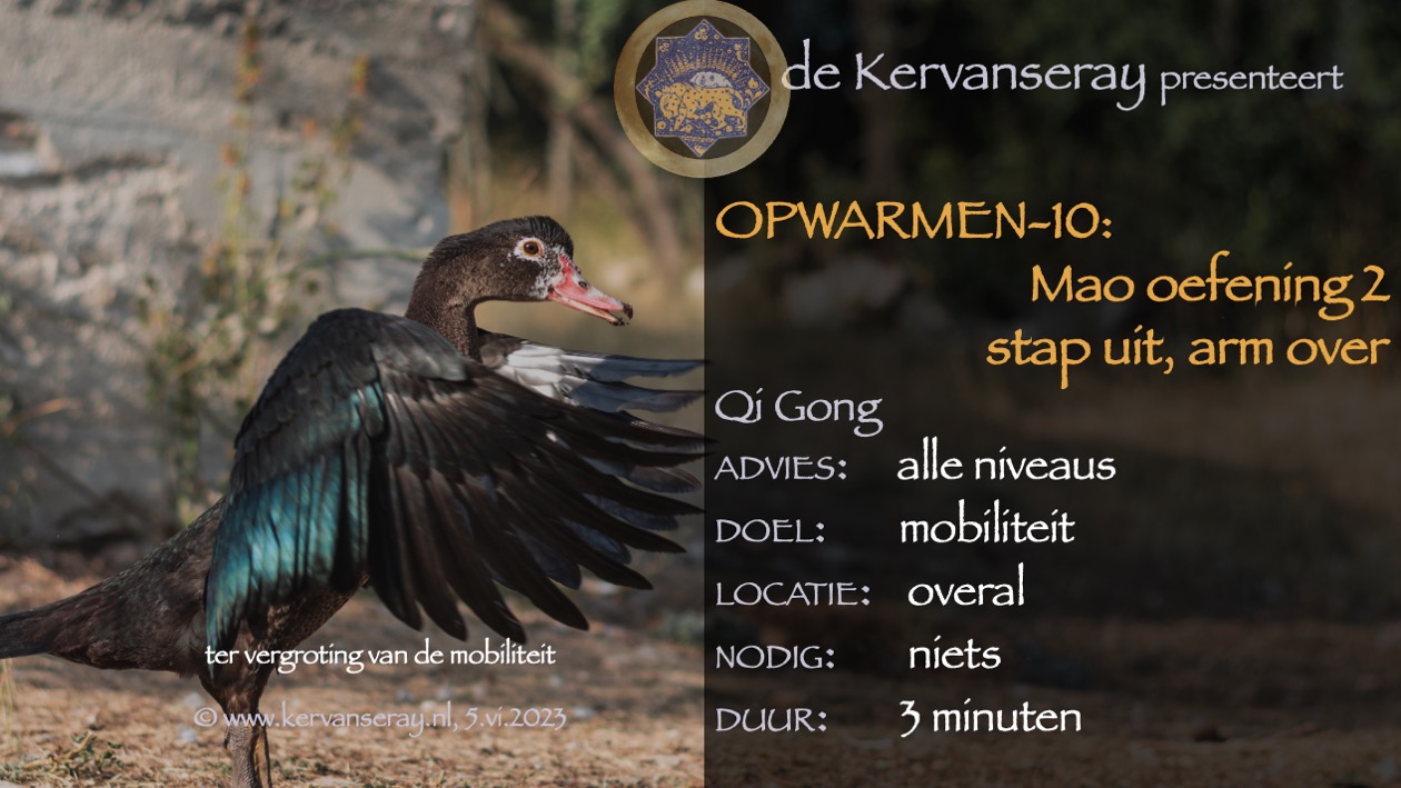 oefening reset opwarmen: 10 Mao oefening 2, stap uit en arm over 