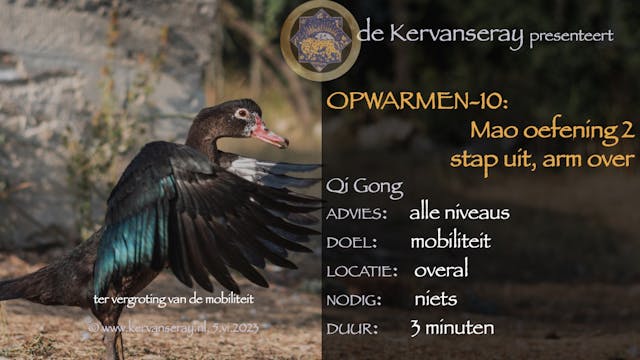 oefening reset opwarmen: 10 Mao oefen...