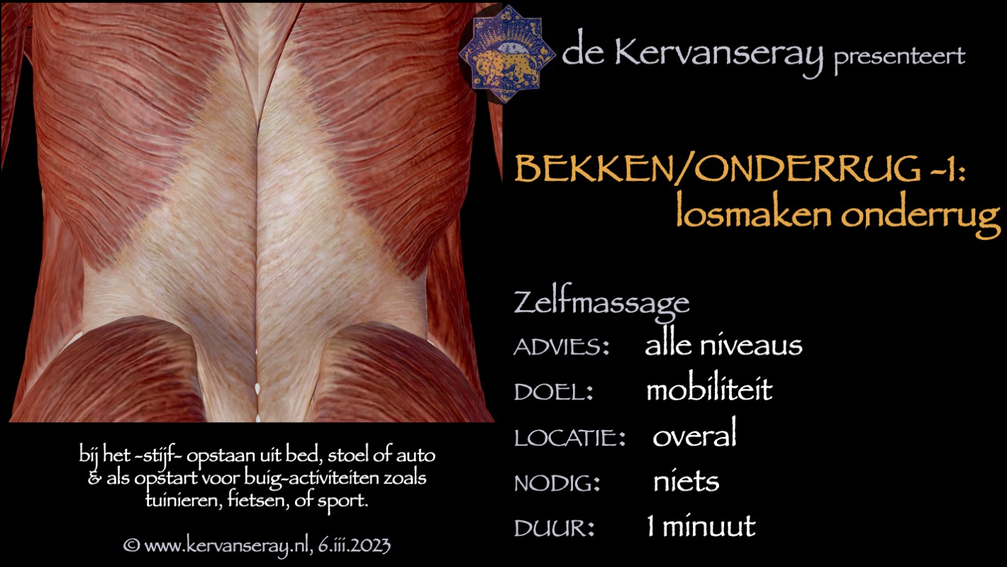 oefening reset losmaken bekken & onderrug: 1 losmaken onderrug