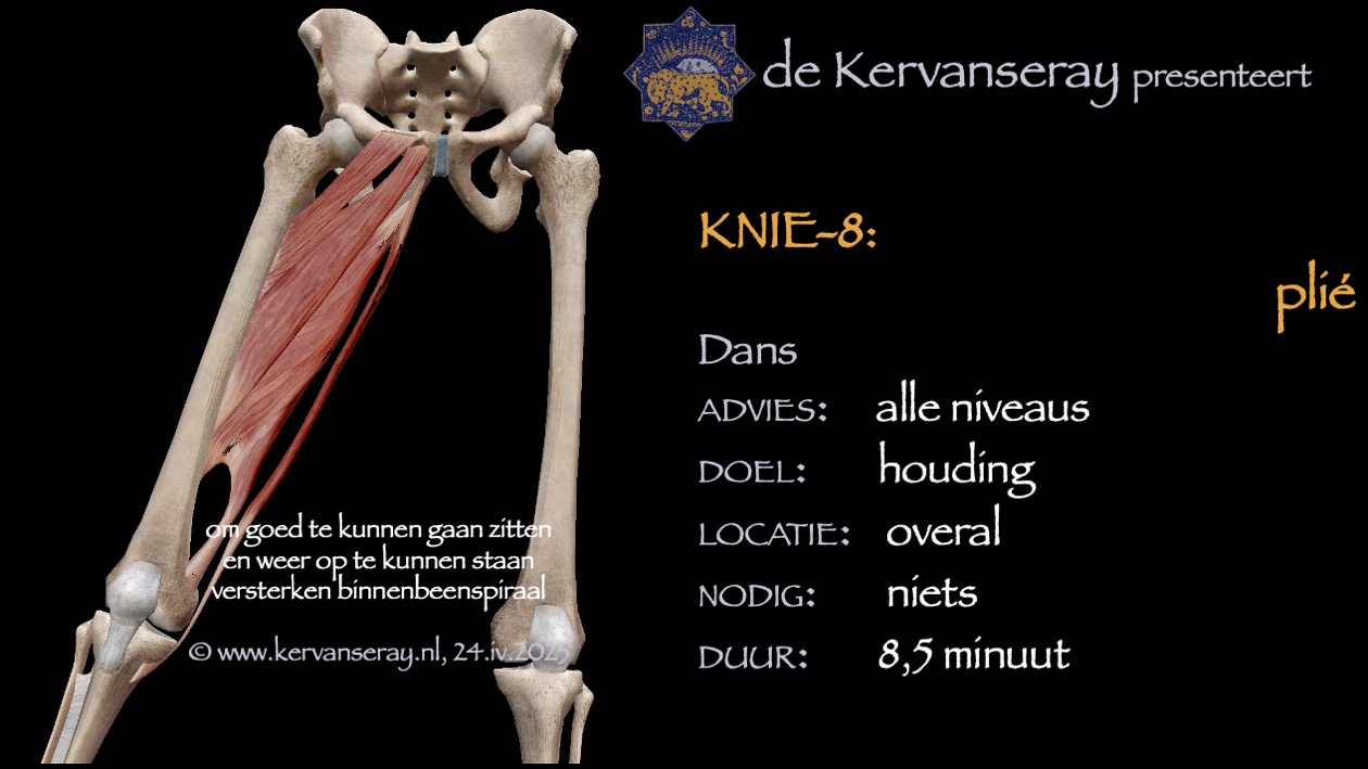 oefening reset losmaken knie: 8 plié