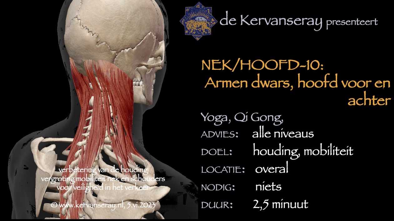 oefening reset losmaken nek & hoofd: 10 armen dwars, hoofd voor en achter