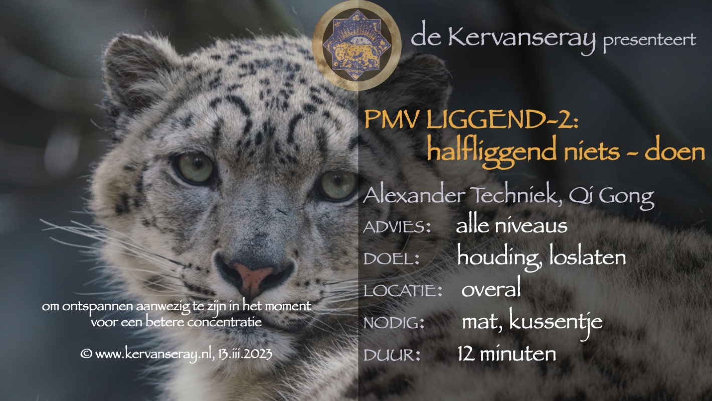 oefening reset PMV liggend: 2 halfliggend niets doen 