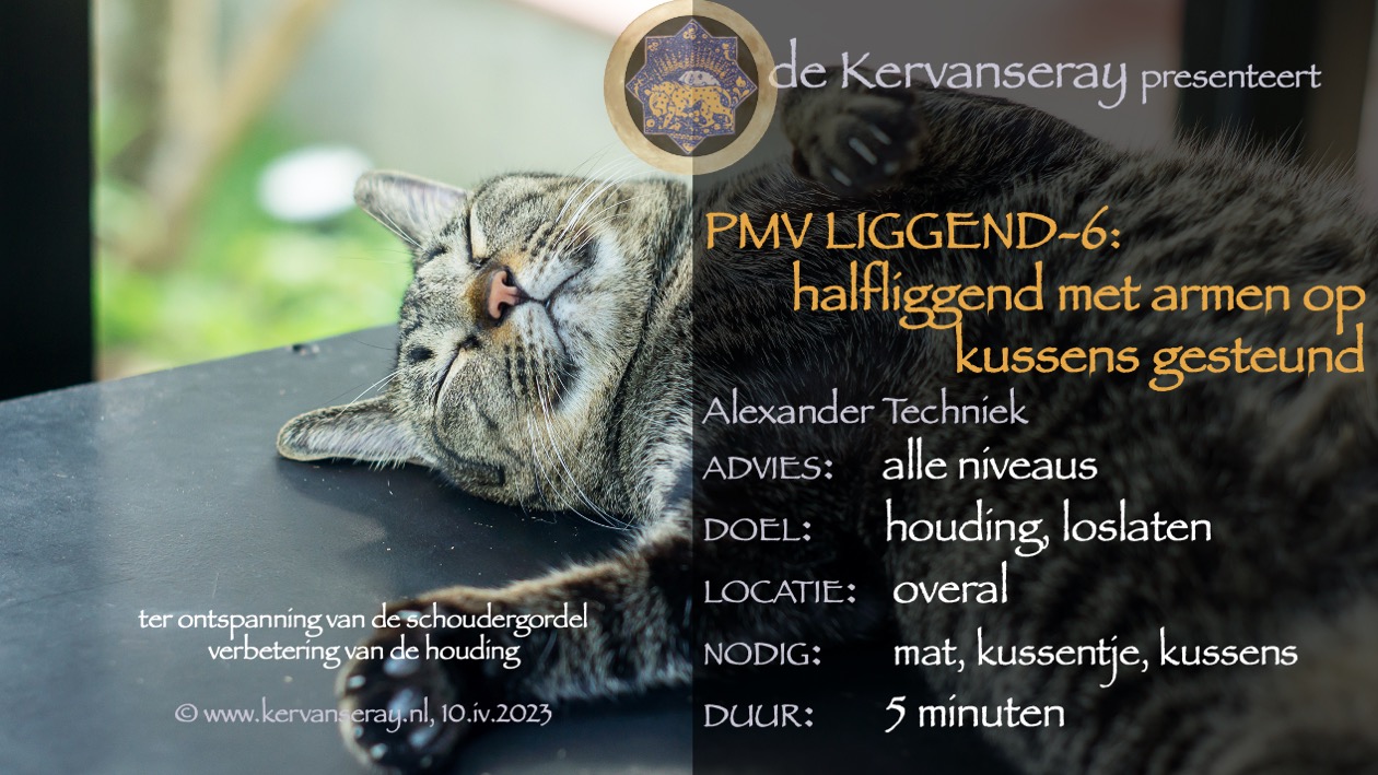 oefening reset PMV liggend: 6 halfliggend met armen op kussens gesteund