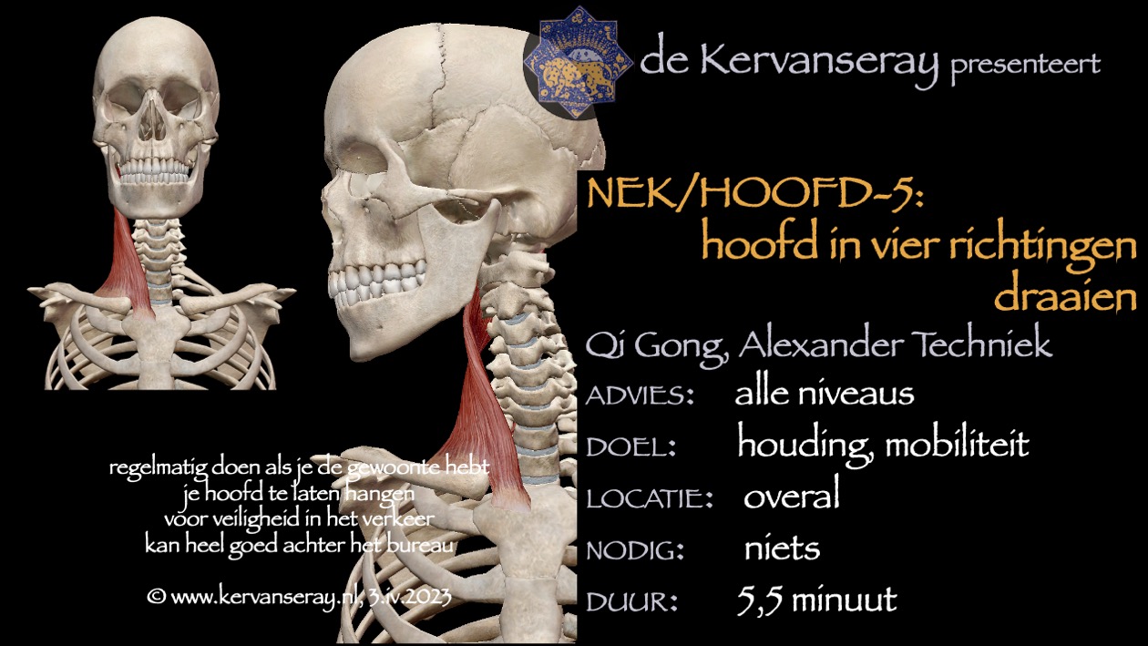 oefening reset losmaken net & hoofd: 5 hoofd in vier richtingen draaien