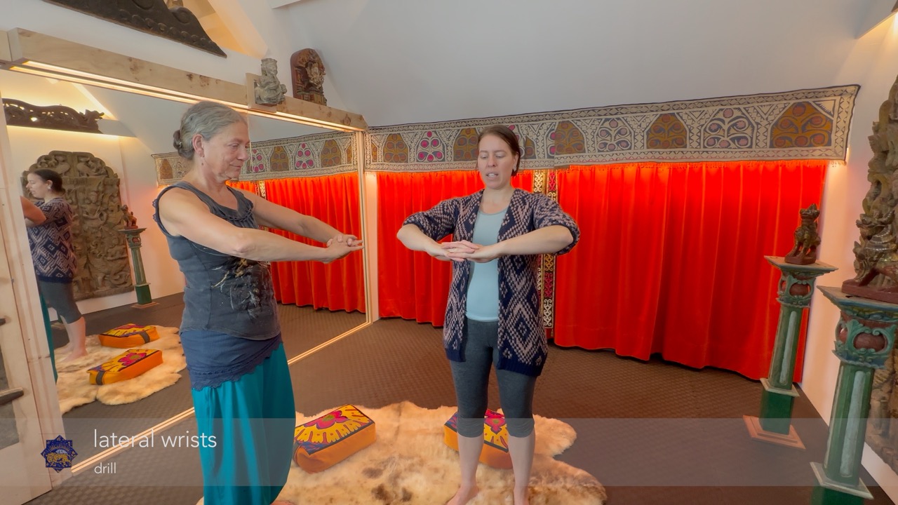 instructie & oefening: naar buiten strekken van de polsen (lateraal strekken)