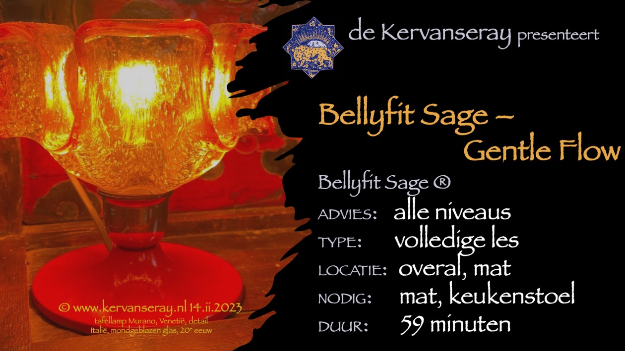 les bellyfit sage: 1 thema work-out 'gentle flow'