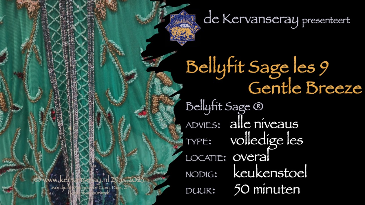 les bellyfit sage: 9 thema work-out 'gentle breeze'