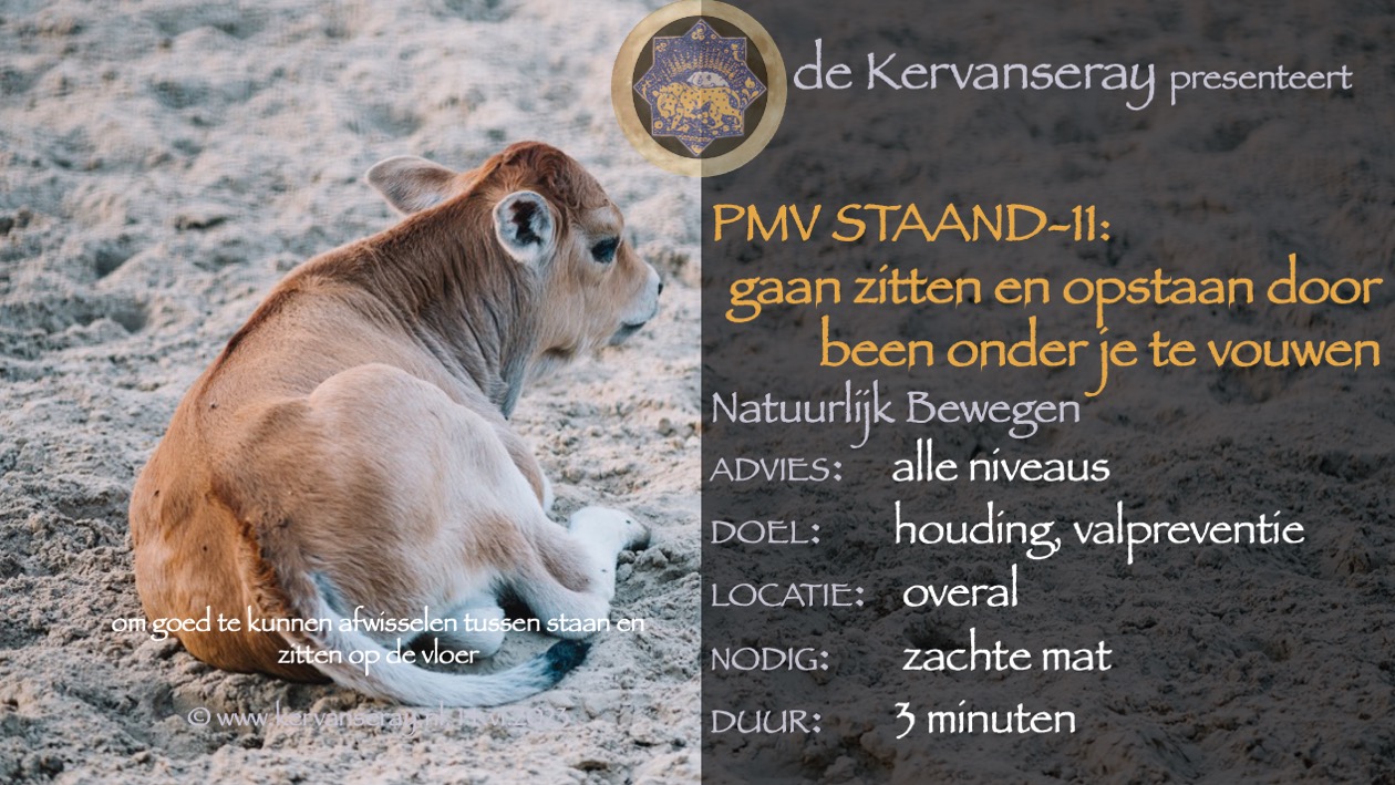 oefening reset PMV staand: week 11 zitten en opstaan door een been ondervouwen