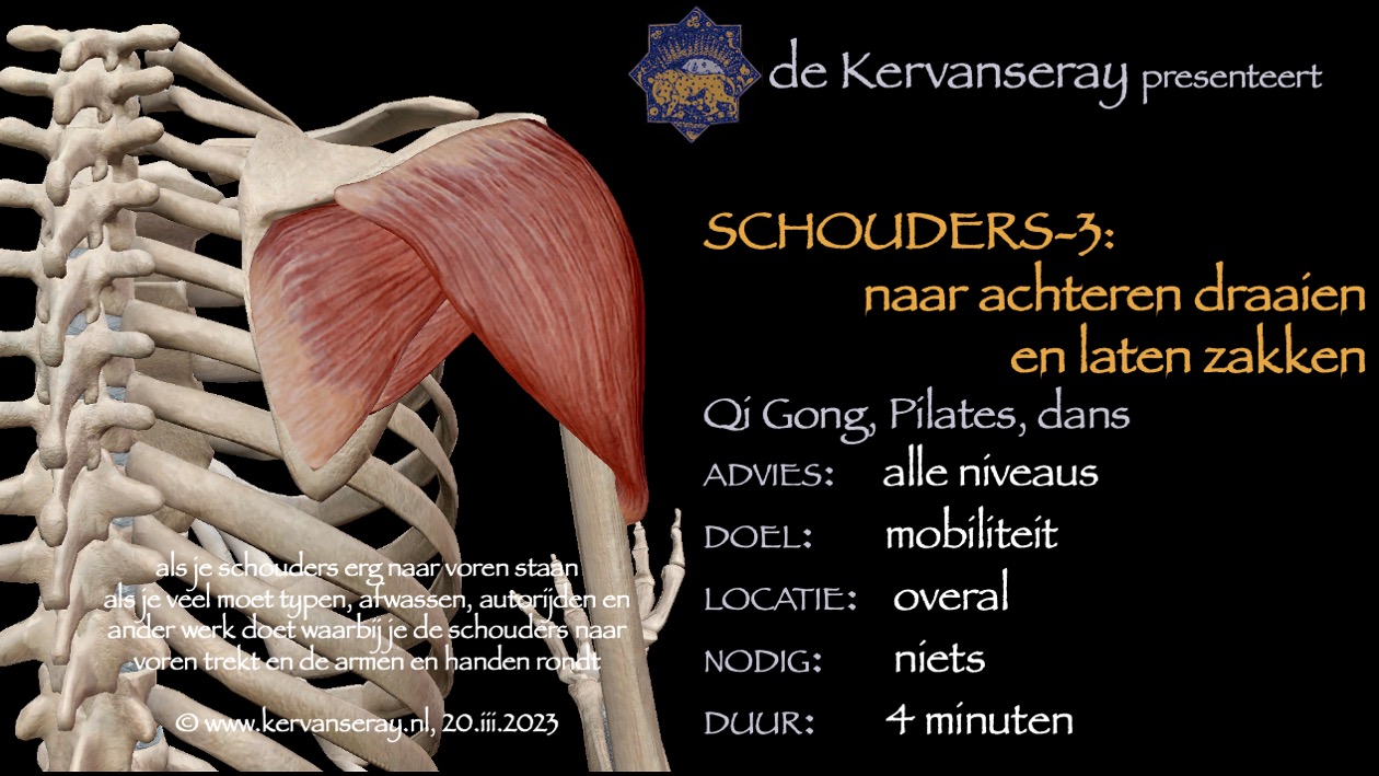 oefening reset losmaken schouders: 3 naar achteren draaien en laten zakken