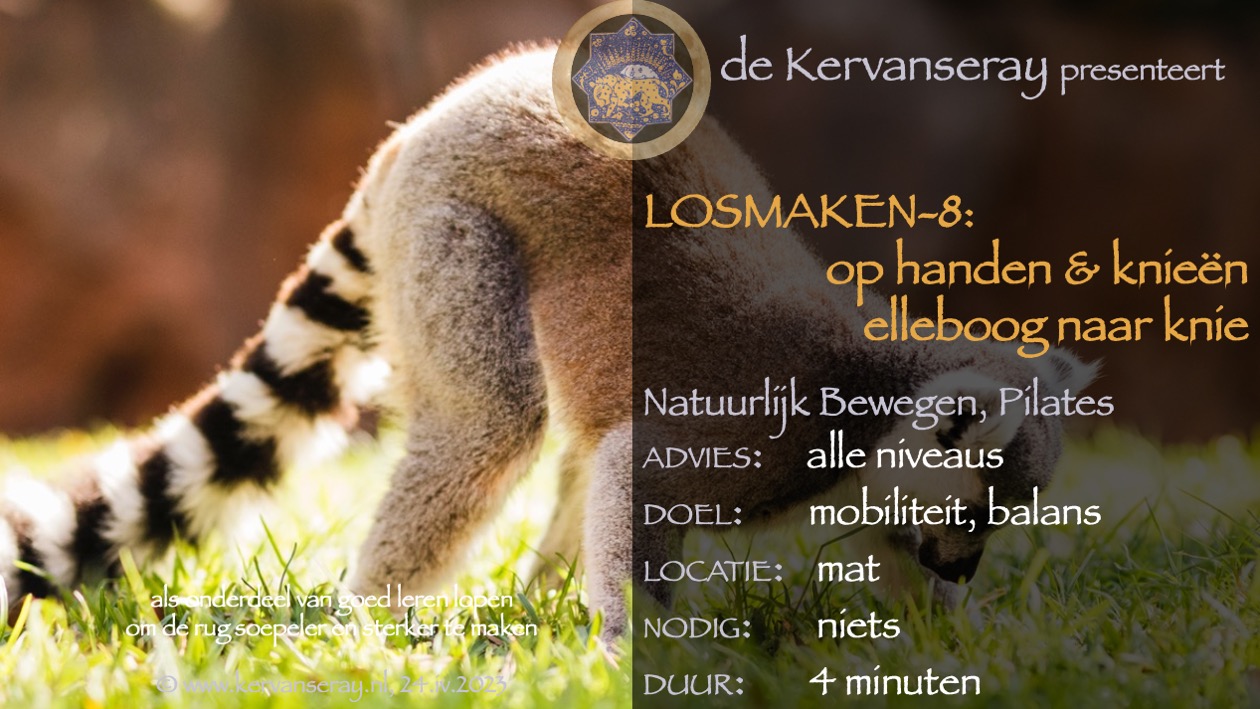 oefening reset losmaken op de mat: 8 op handen en knieën elleboog naar de knie