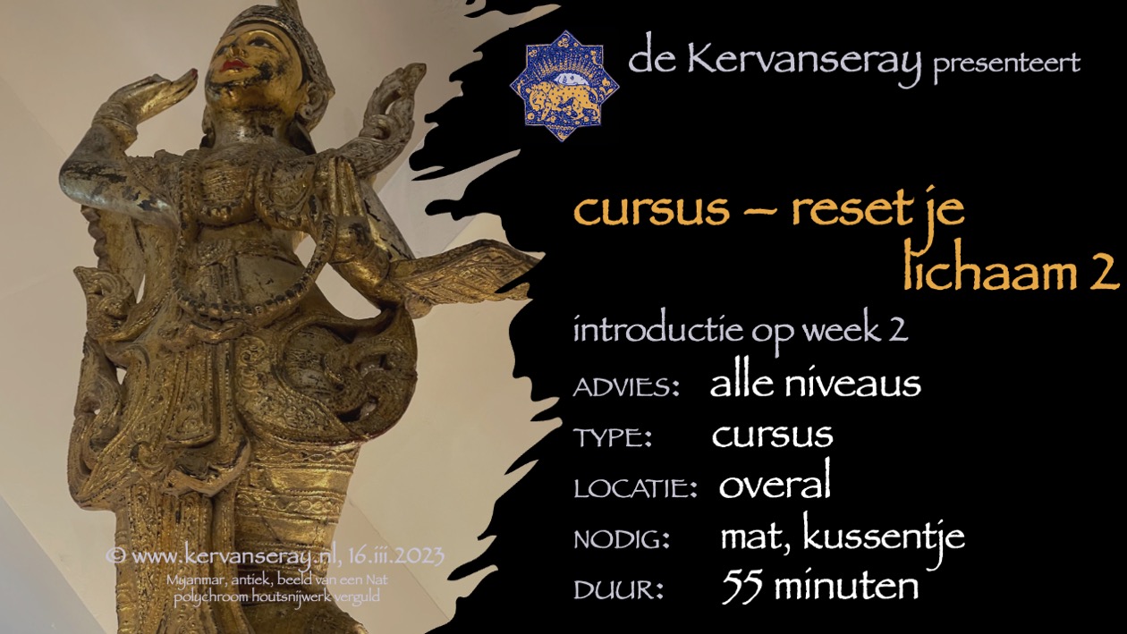 cursus reset je lichaam: week 2