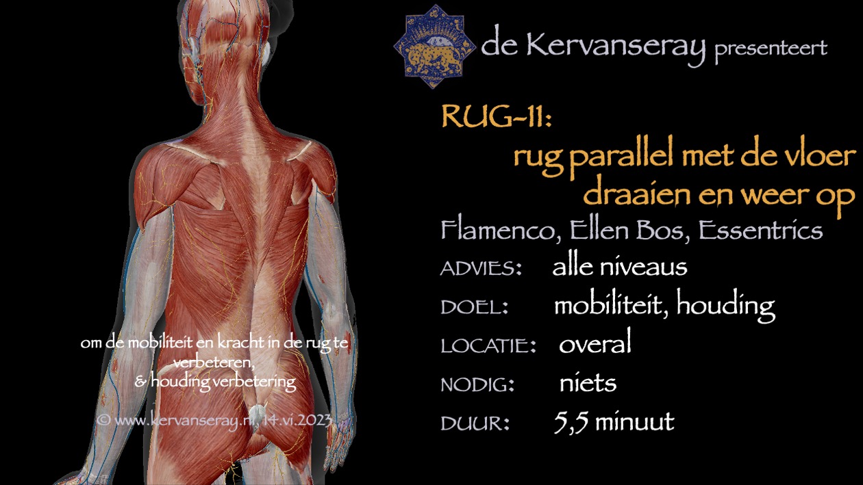 oefening reset losmaken rug: 11 rug parallel met de vloer draaien en weer op