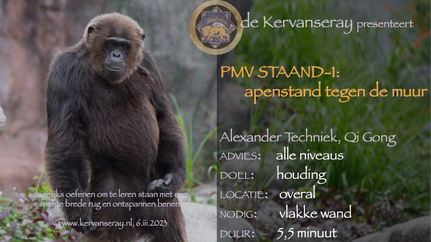 oefening reset PMV staand: week 1 apenstand tegen de muur