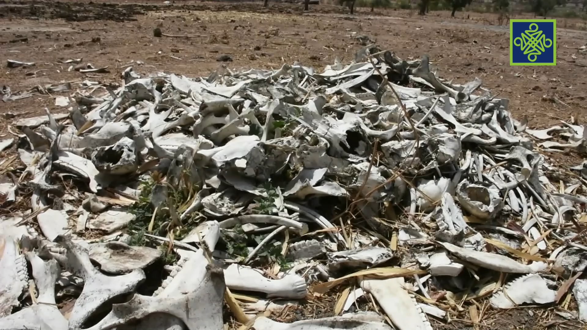 Gari Ya Waye Episode 29