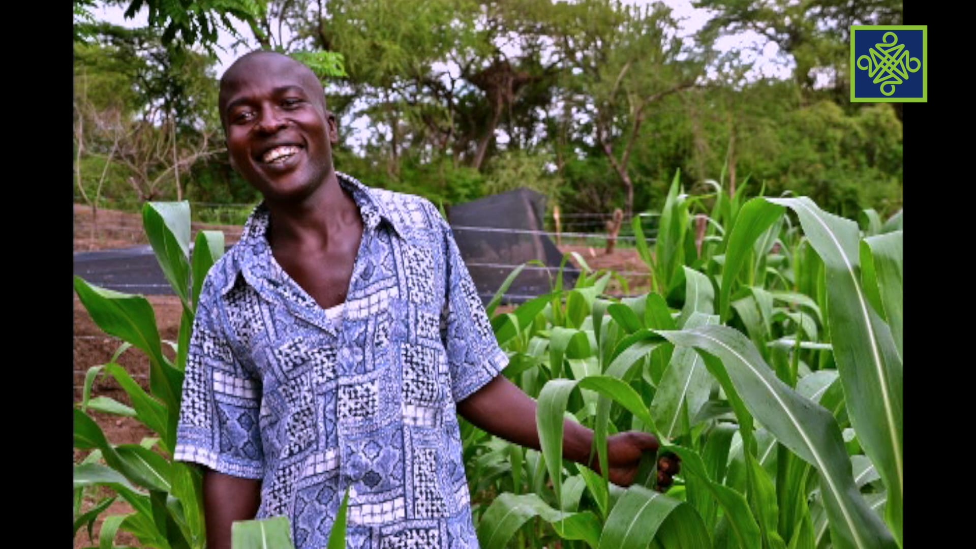 Matasa 360 Zango Na 8 Kashi Na 6