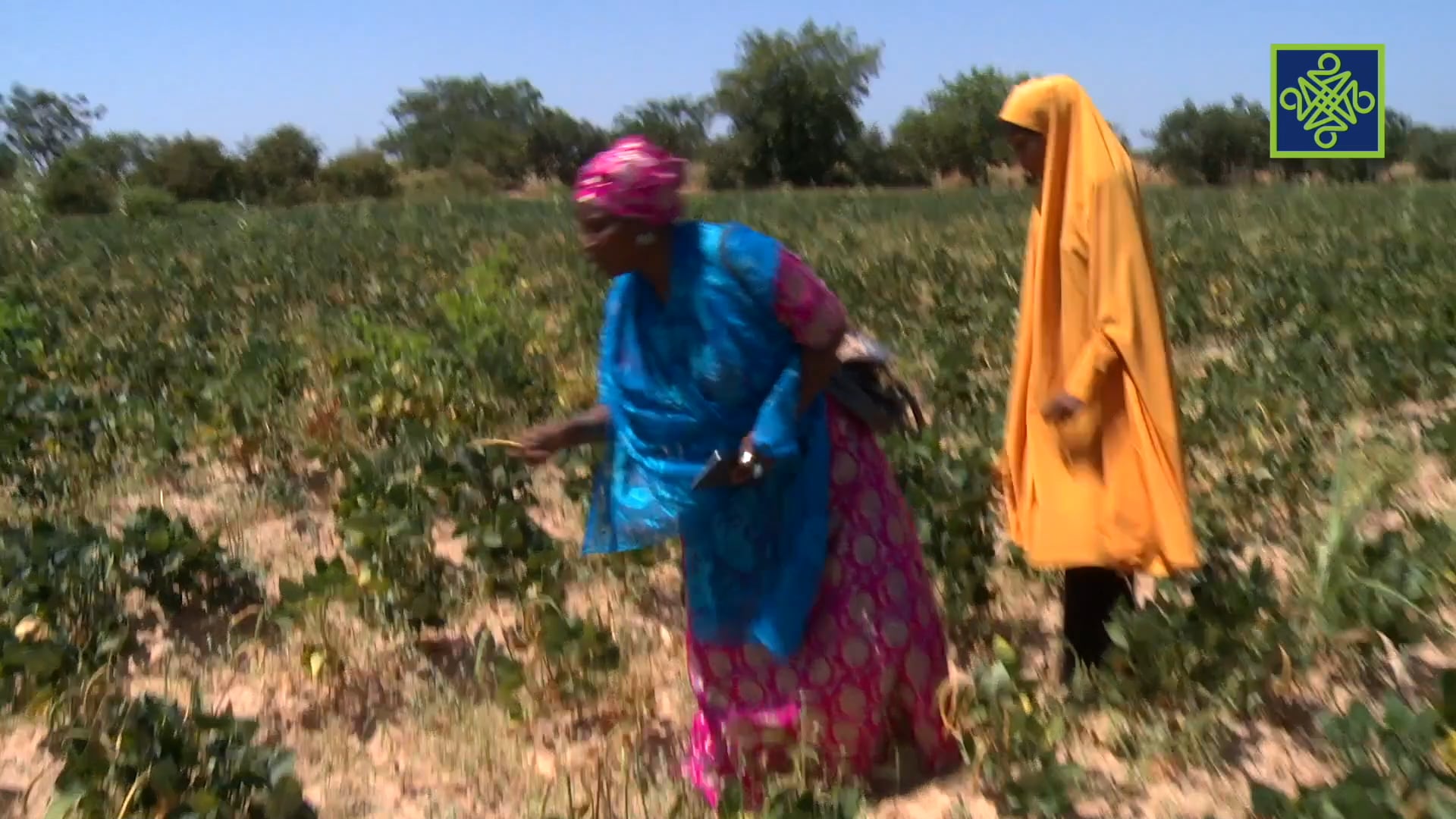 Tauraruwa Episode 13