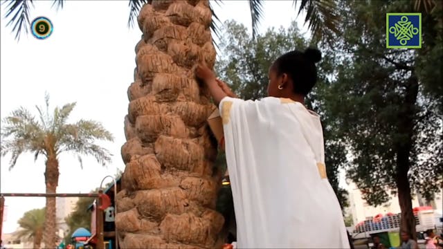 Zafafa 10 Zango Na 6 Kashi 4