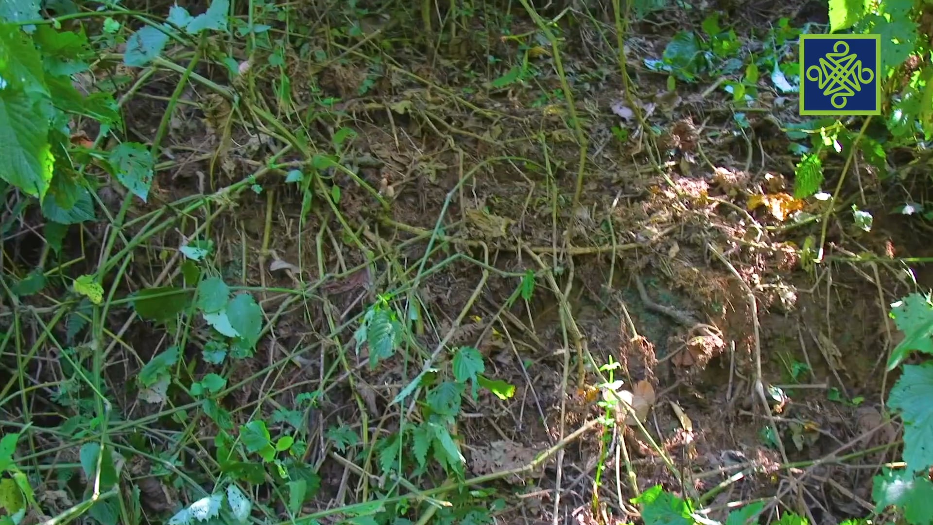 Goge Africa | Zango Na 2 | Kashi Na 4 