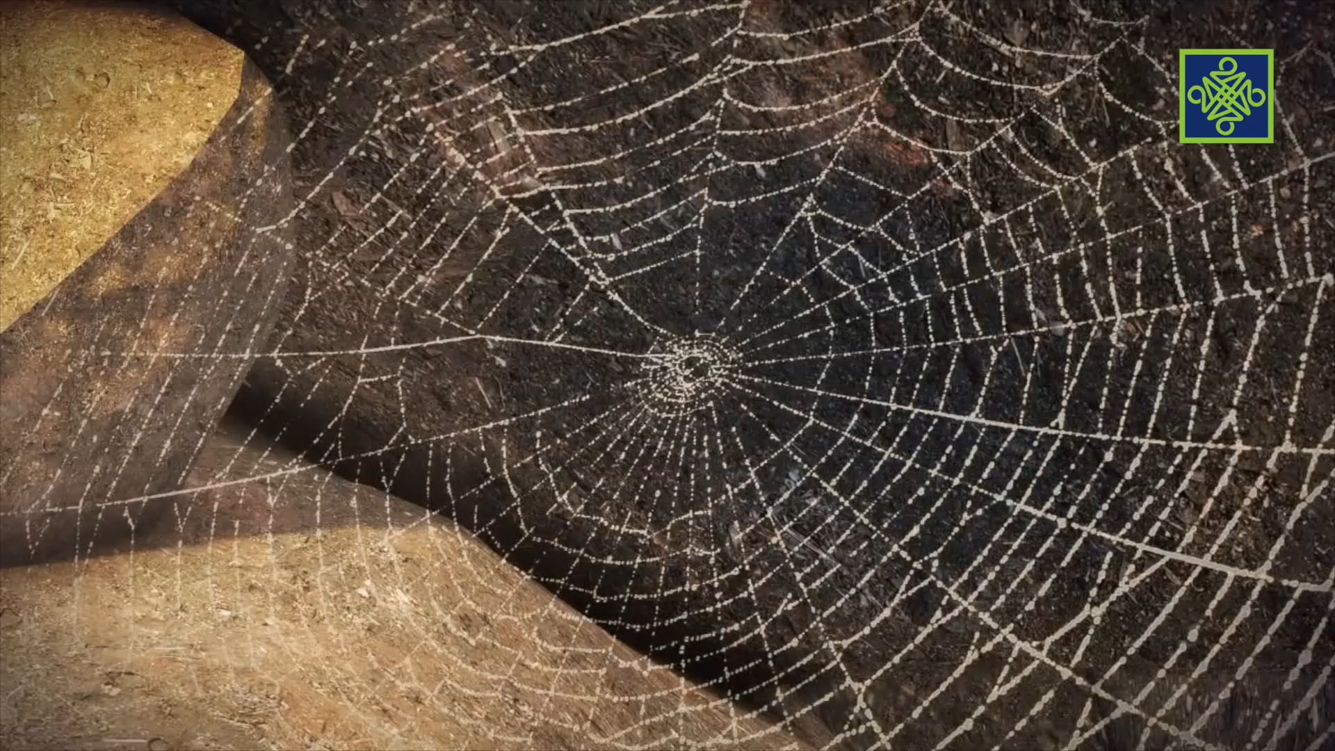 Habibullah | Zango Na Daya (1) | Kashi Na Hudu (4) 