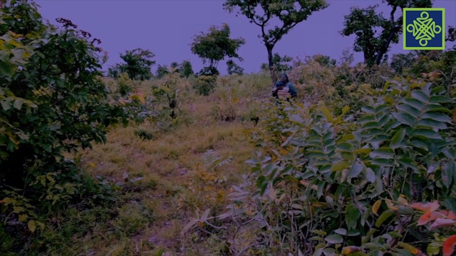 KANNYWOOD MOVIES AREWA24