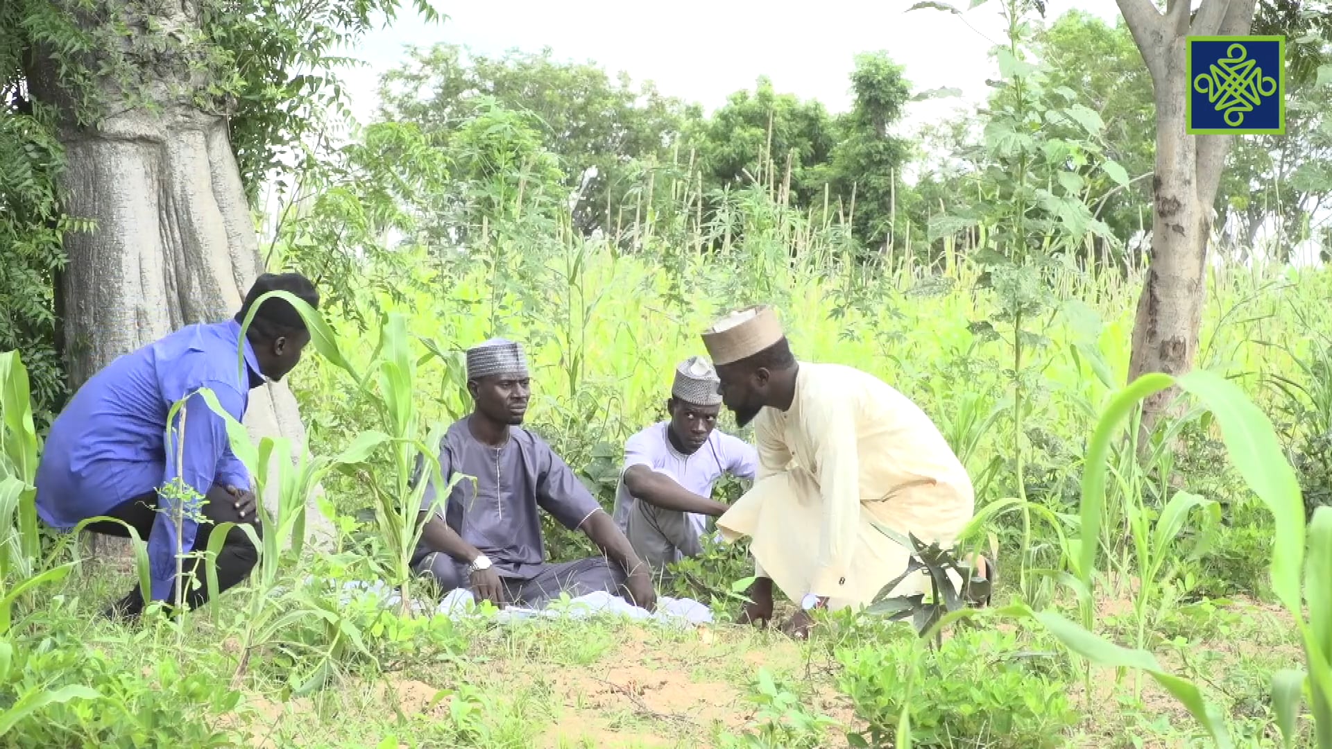 Dadin Kowa Zango Na 16 Kashi Na 6
