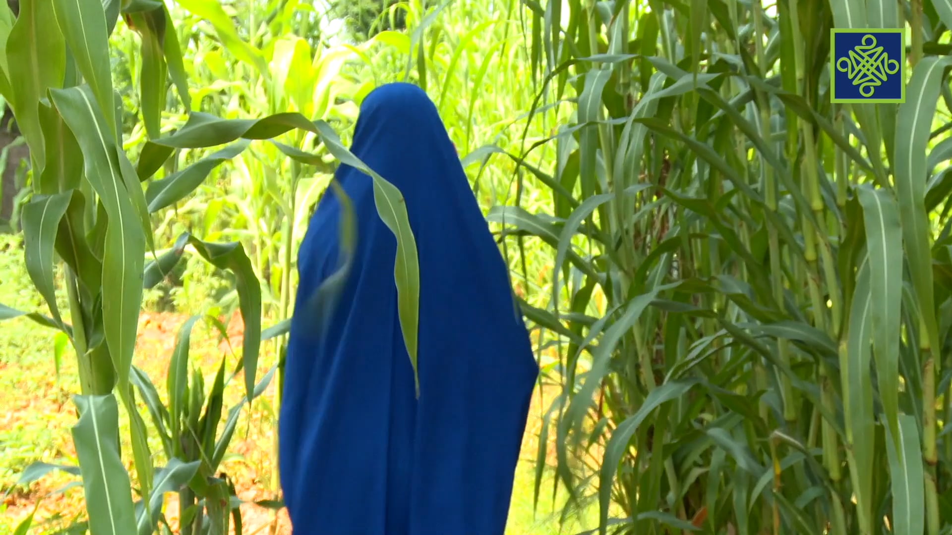 Tauraruwa Episode 10