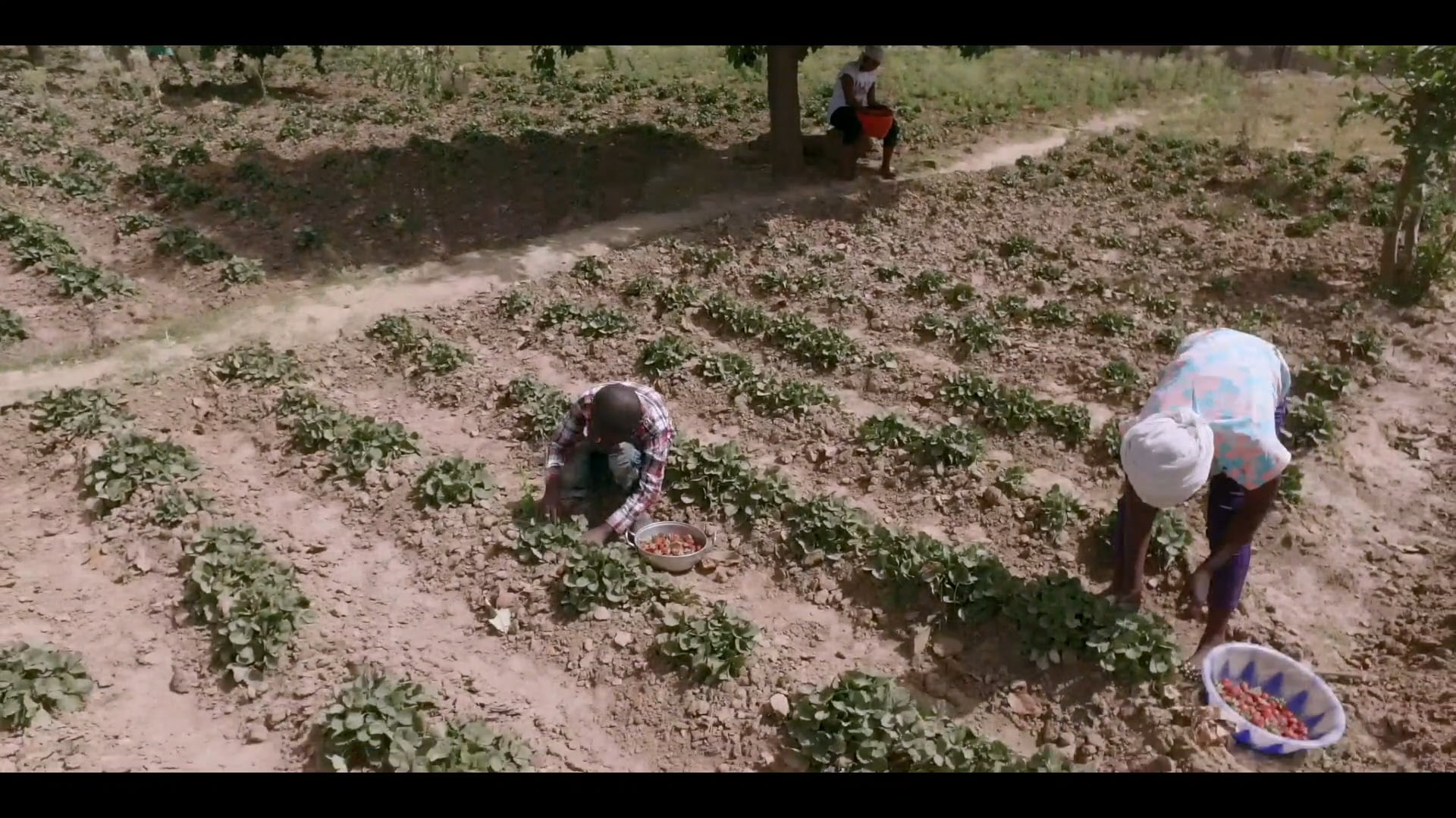 Place Promo | Plateau State Famers