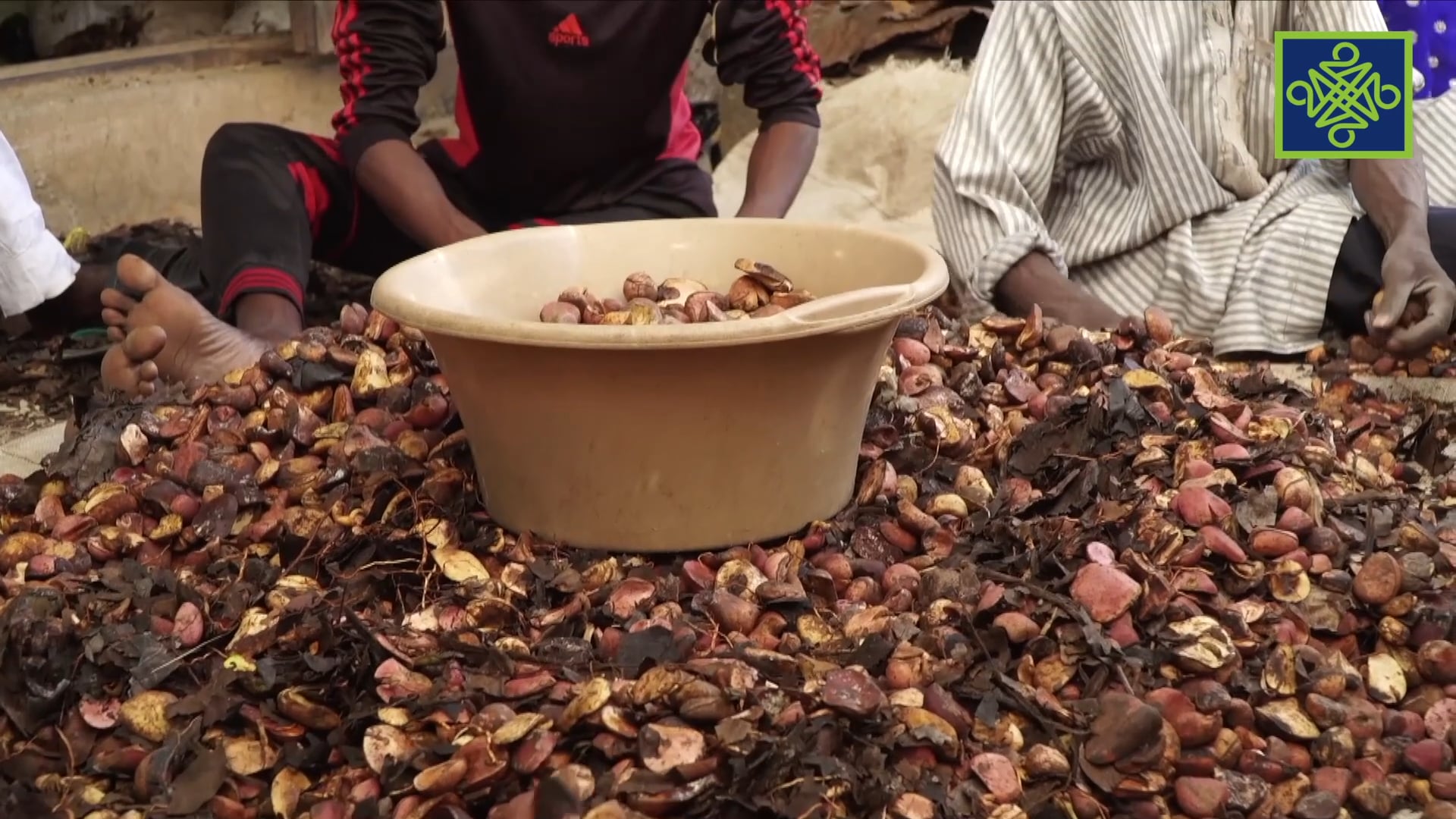 Gari Ya Waye | Zango Na 8 | Kashi Na 19