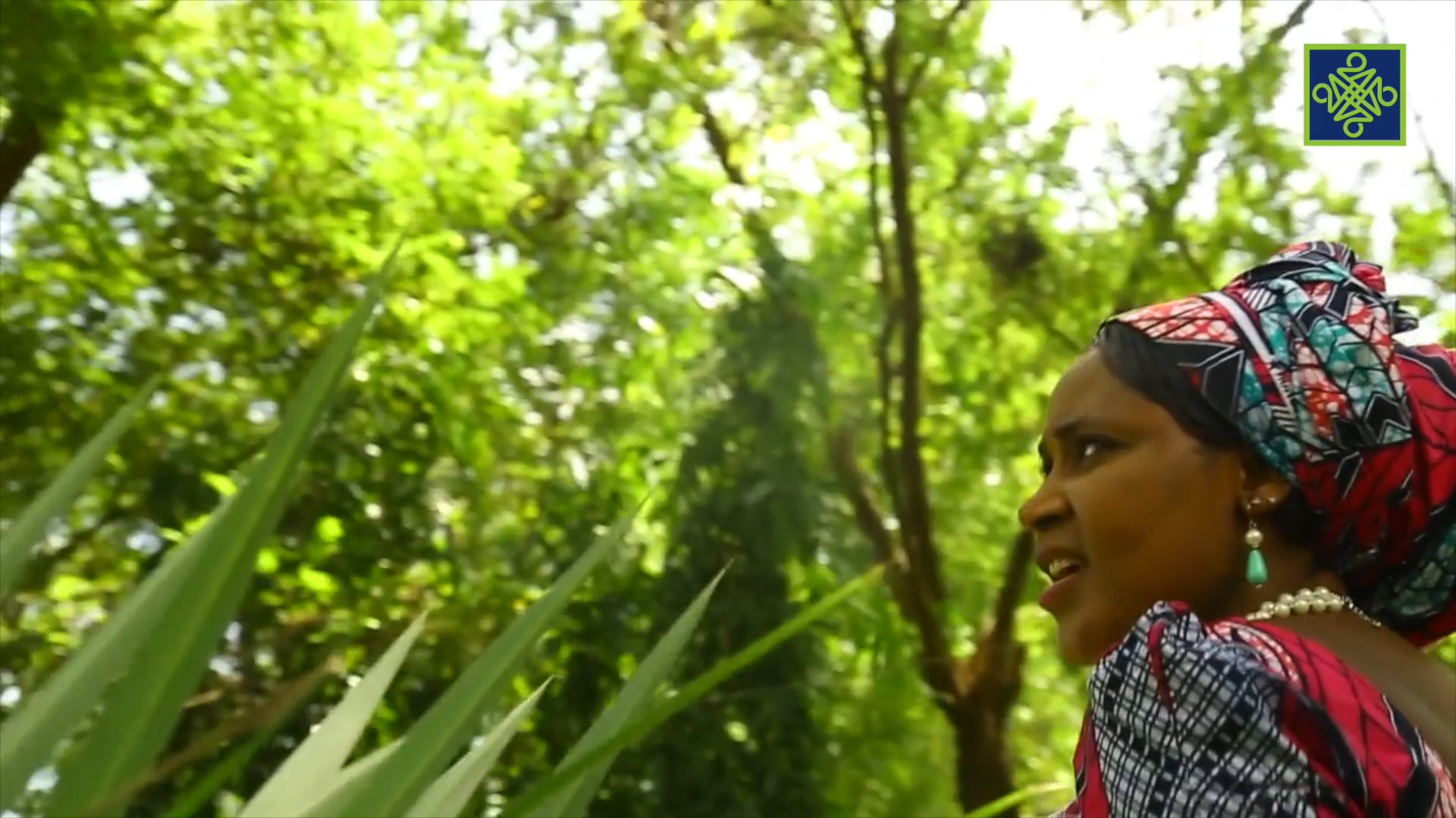 Kannywood Movies | Kowa Dalin