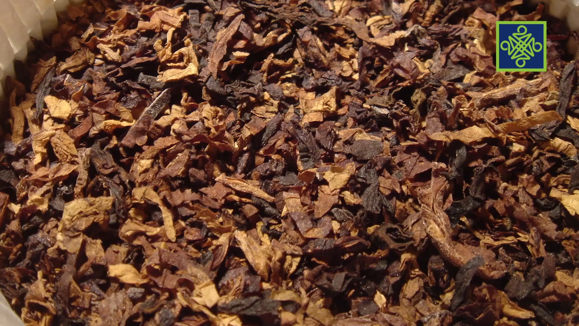 Goge Africa | Zango Na 2 | Kashi Na 3