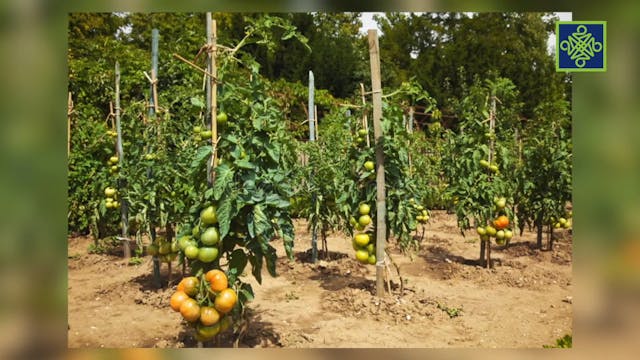 Gari Ya Waye Episode 24