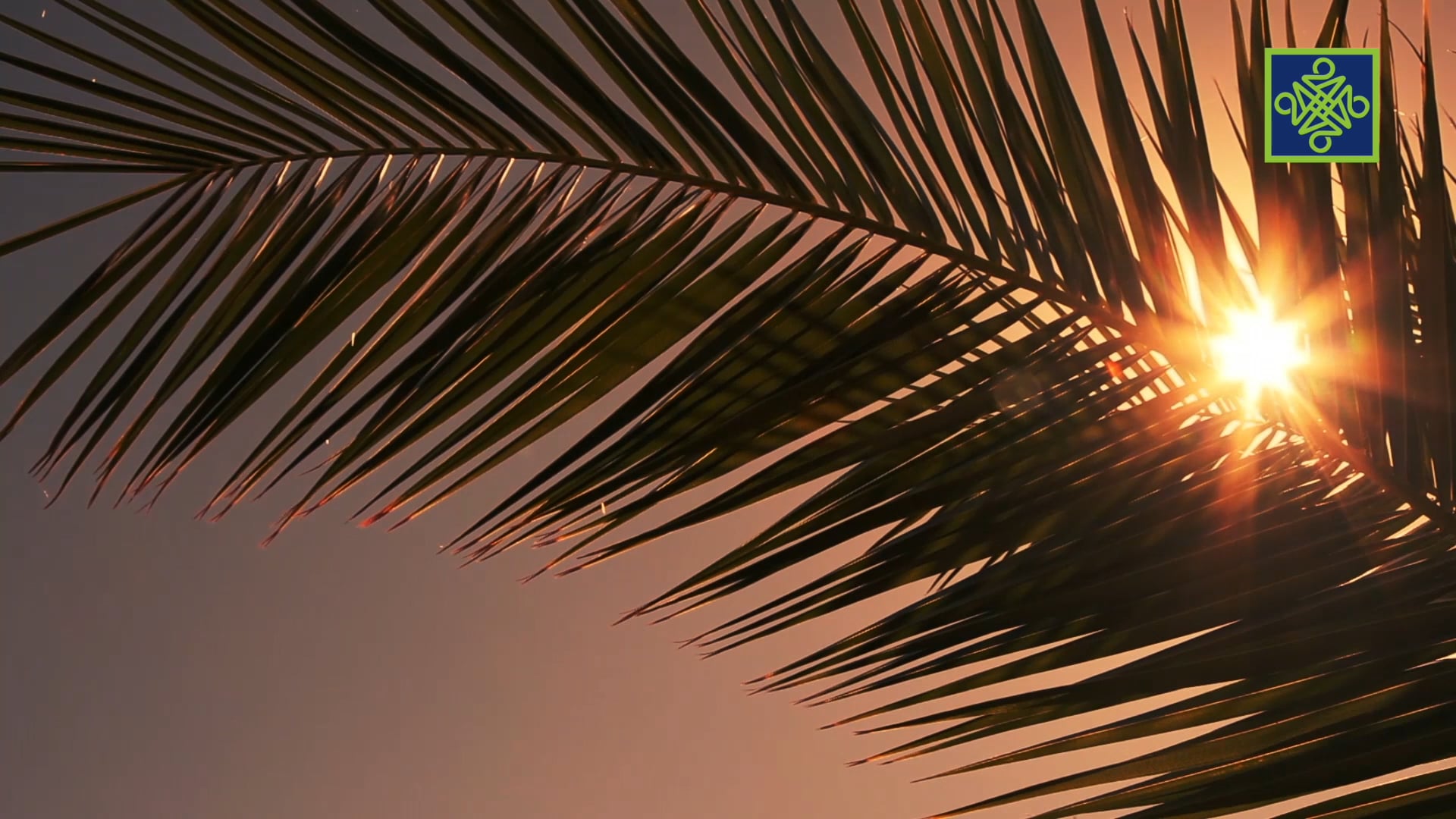 Gari Ya Waye Episode 11