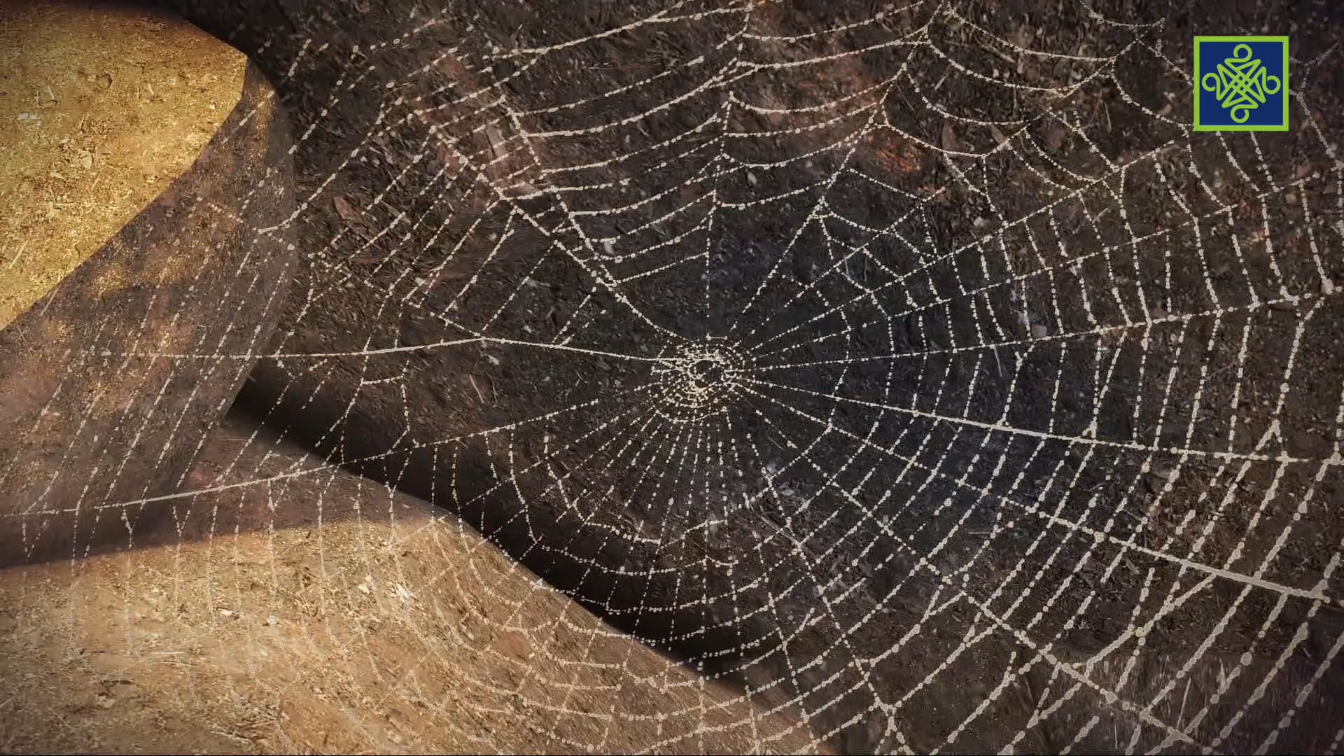 Habibullah | Zango Na Biyu (2) | Kashi Na Hudu (4) 