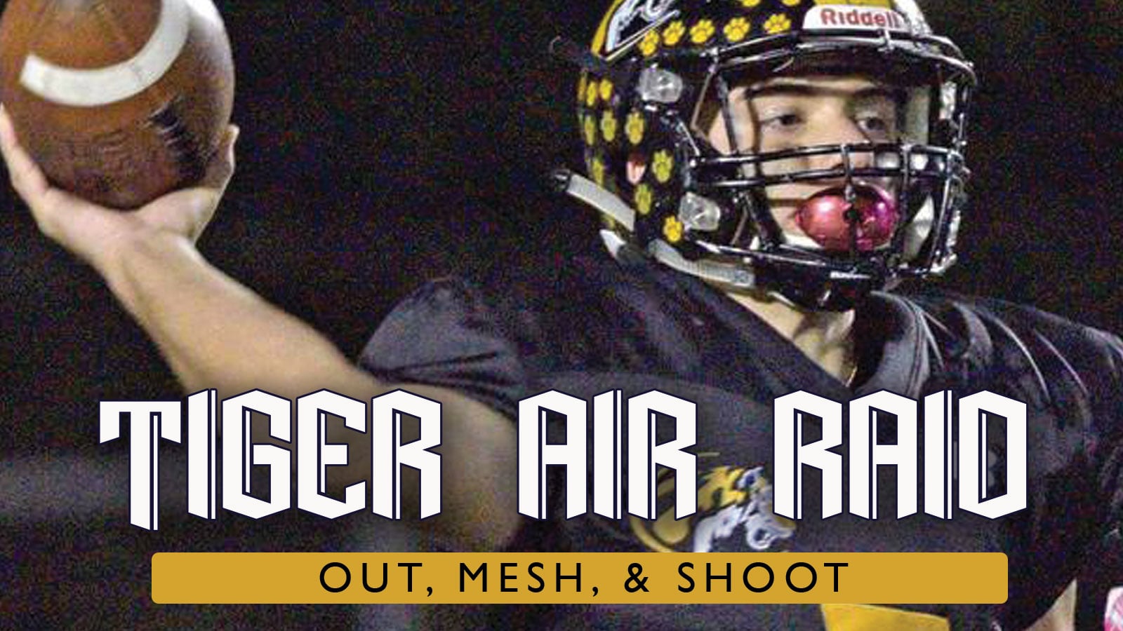 Tiger Air Raid: Out, Mesh, & Shoot